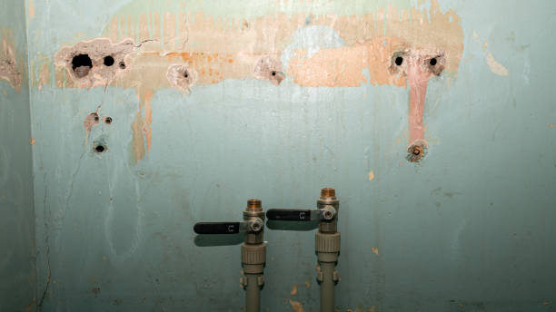 Best Basement water damage restoration  in Long View, NC